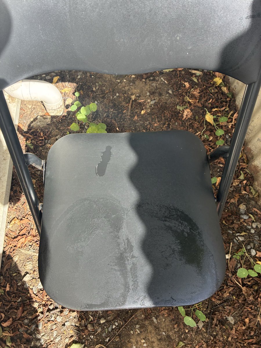 DJcatchingsun's tweet photo. Backyard vitamin d. 

Sweat baby sweat. 

#summer #vitamindonmyd #sunworship #nudie https://t.co/ye0JFF1QEW