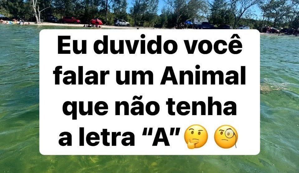 Professora Tati tweet media