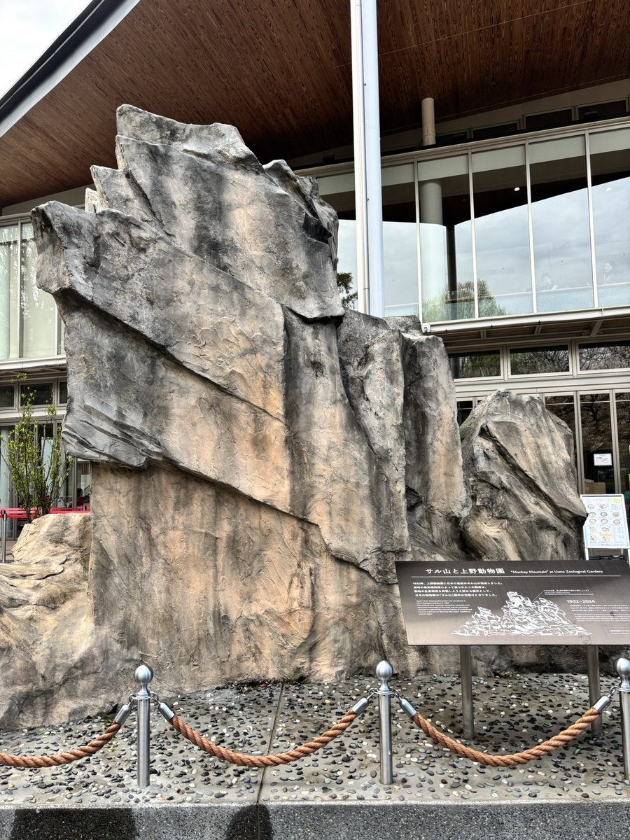 樋口達也 tweet media