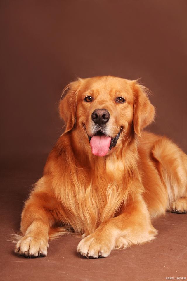 linshan（互关互fo） tweet media