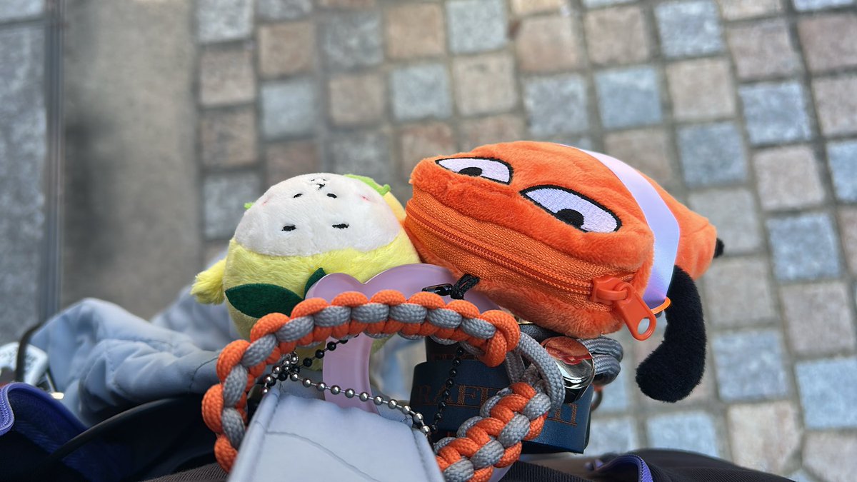 カガリ tweet media