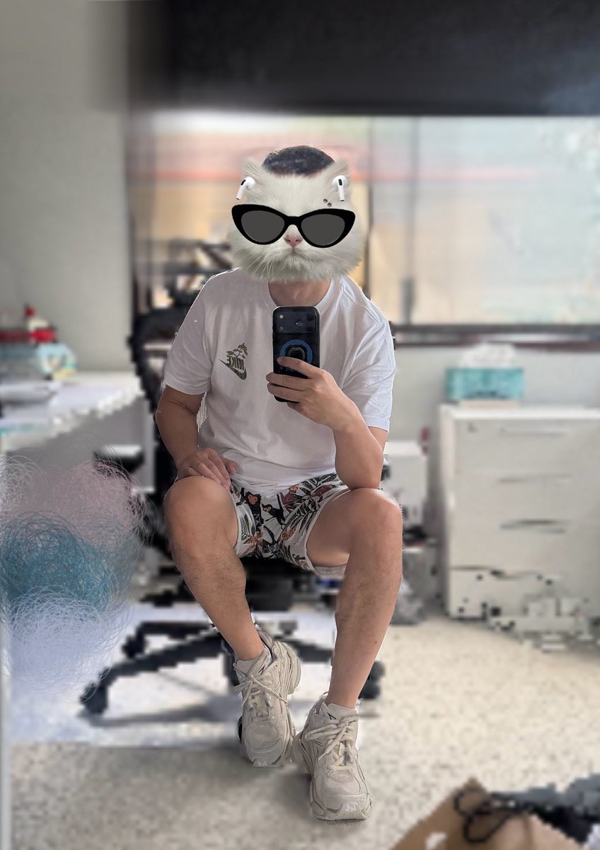 通透 Lee tweet media