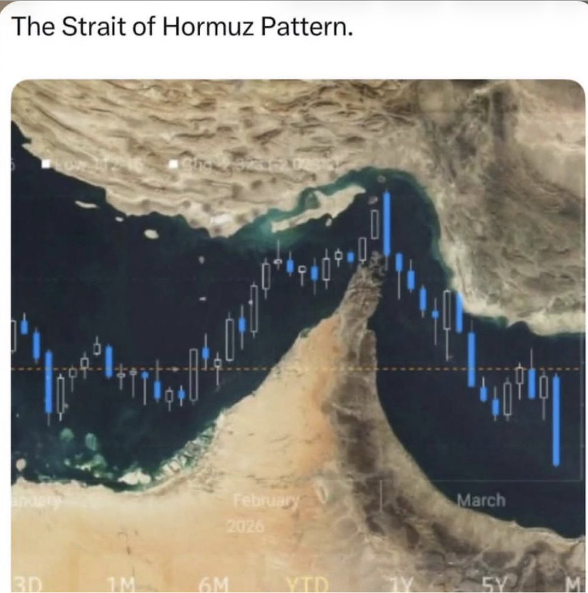 MacroGuru tweet media