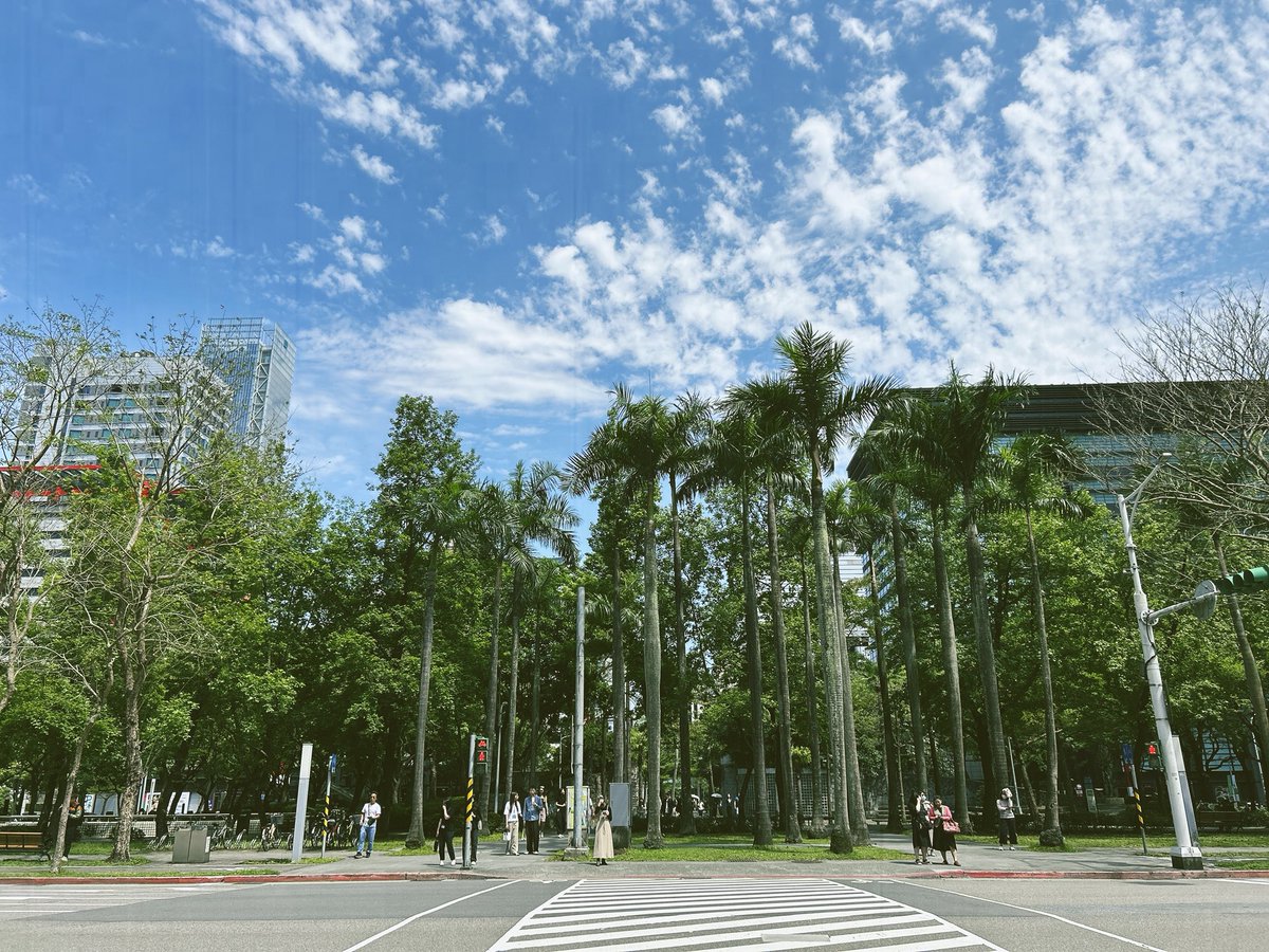 アフガンRAY tweet media