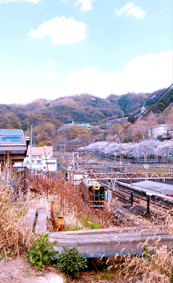 なお🌈働き方の研究をしたい社労士＆キャリコン tweet media