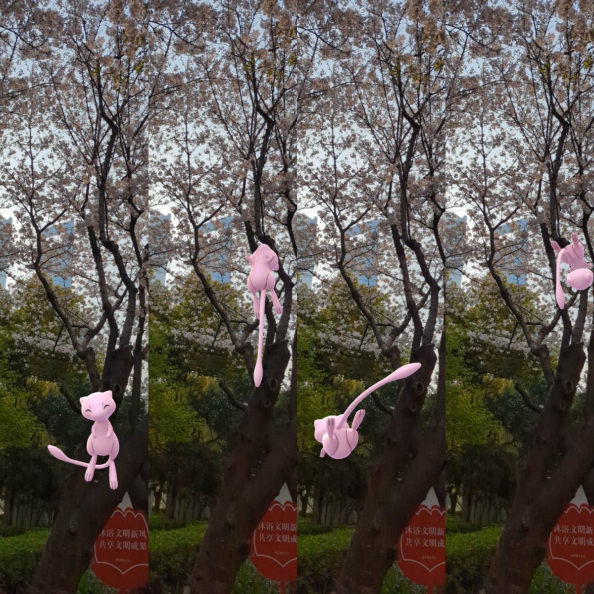 am0211's tweet image. 栓抜ビルと桜
#ポケモンGO
#GOsnapshot
#PokemonGOAR