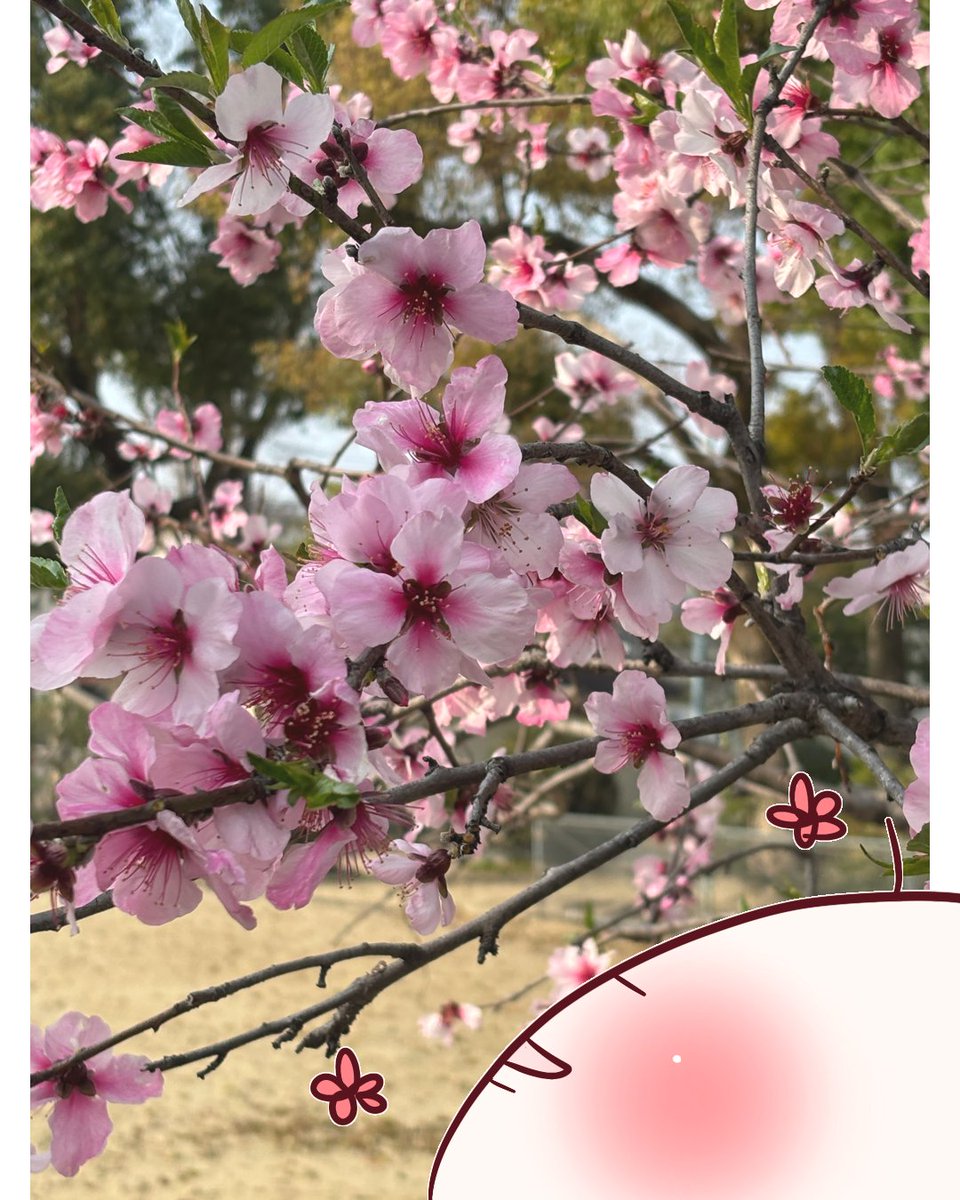 あんこゆうこ@人生迷子のゆこまん絵日記 tweet media