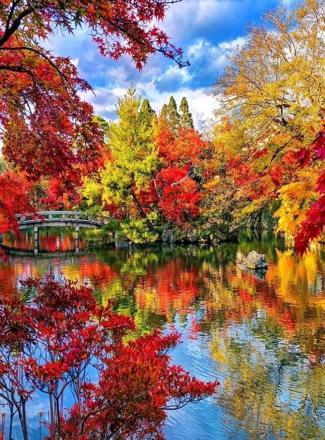 Sebahaddin tweet media