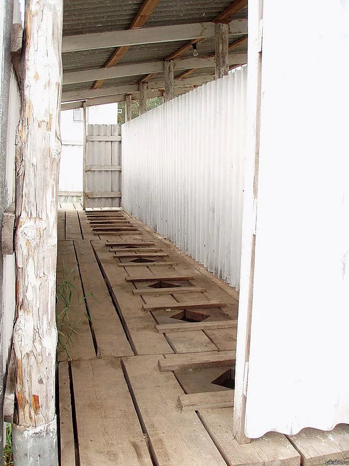 Александр Усольцев tweet media