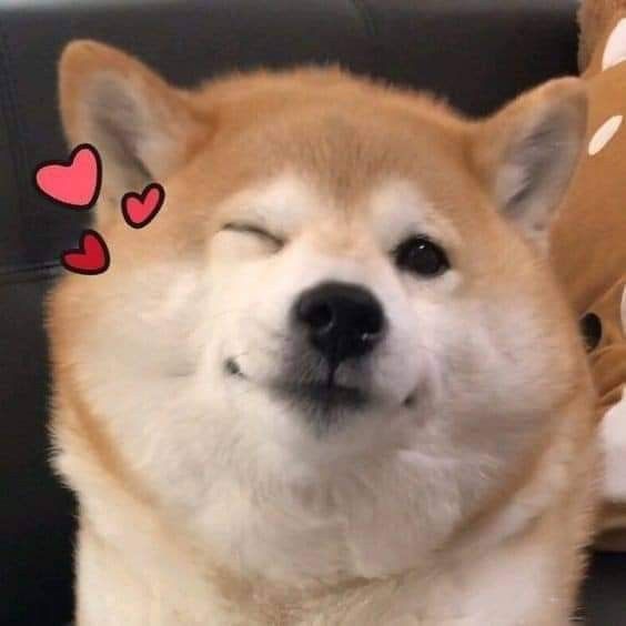 ✧｡세아✧*💎｡✧｡ tweet media