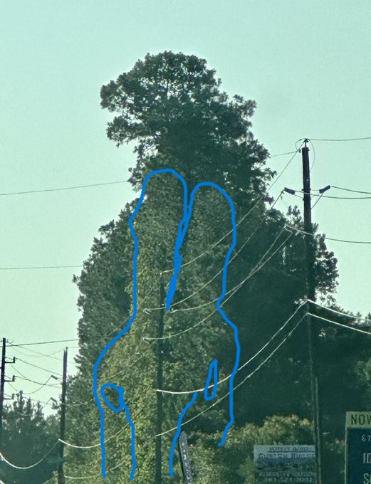 kei ooango tweet media