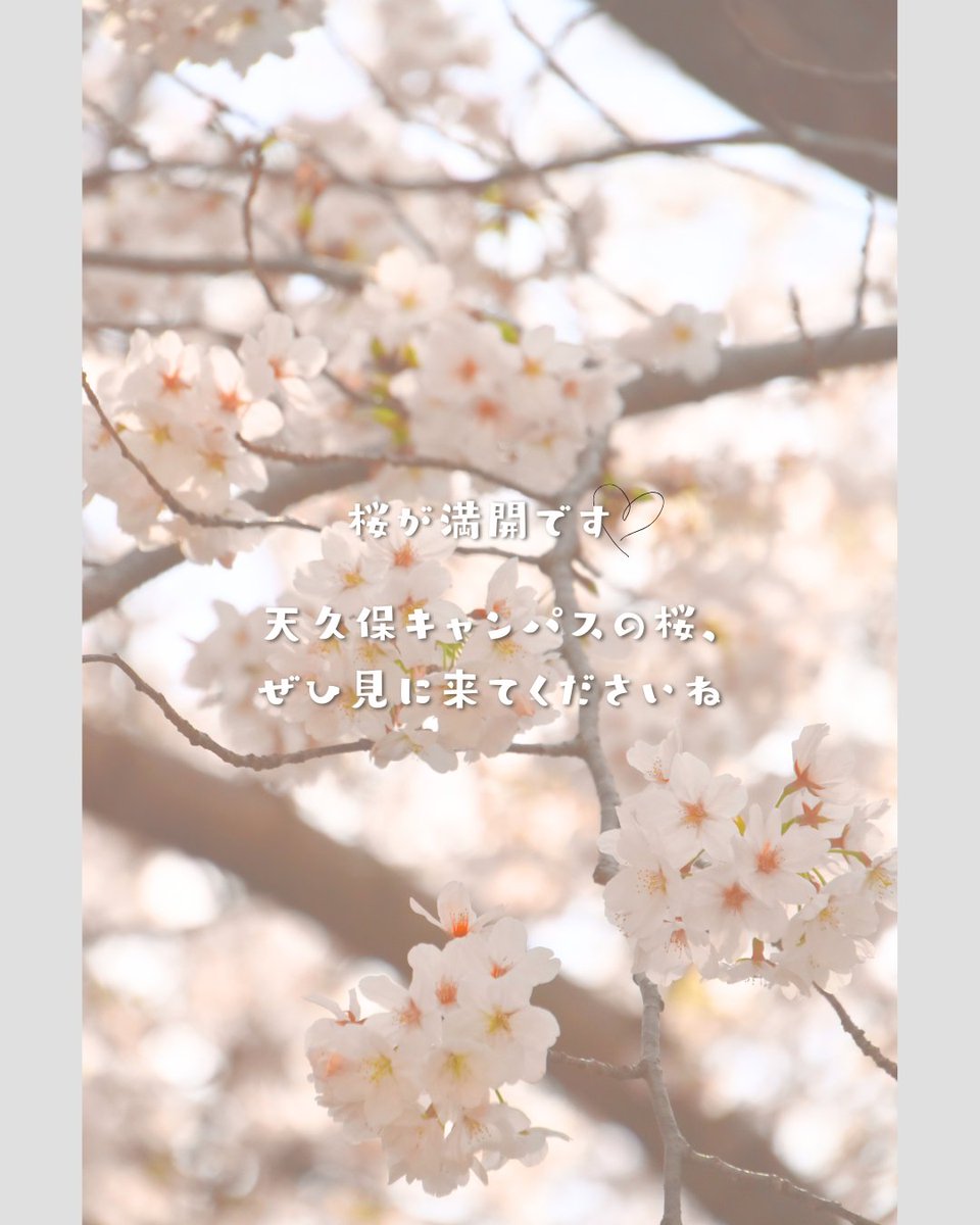 筑波技術大学 tweet media