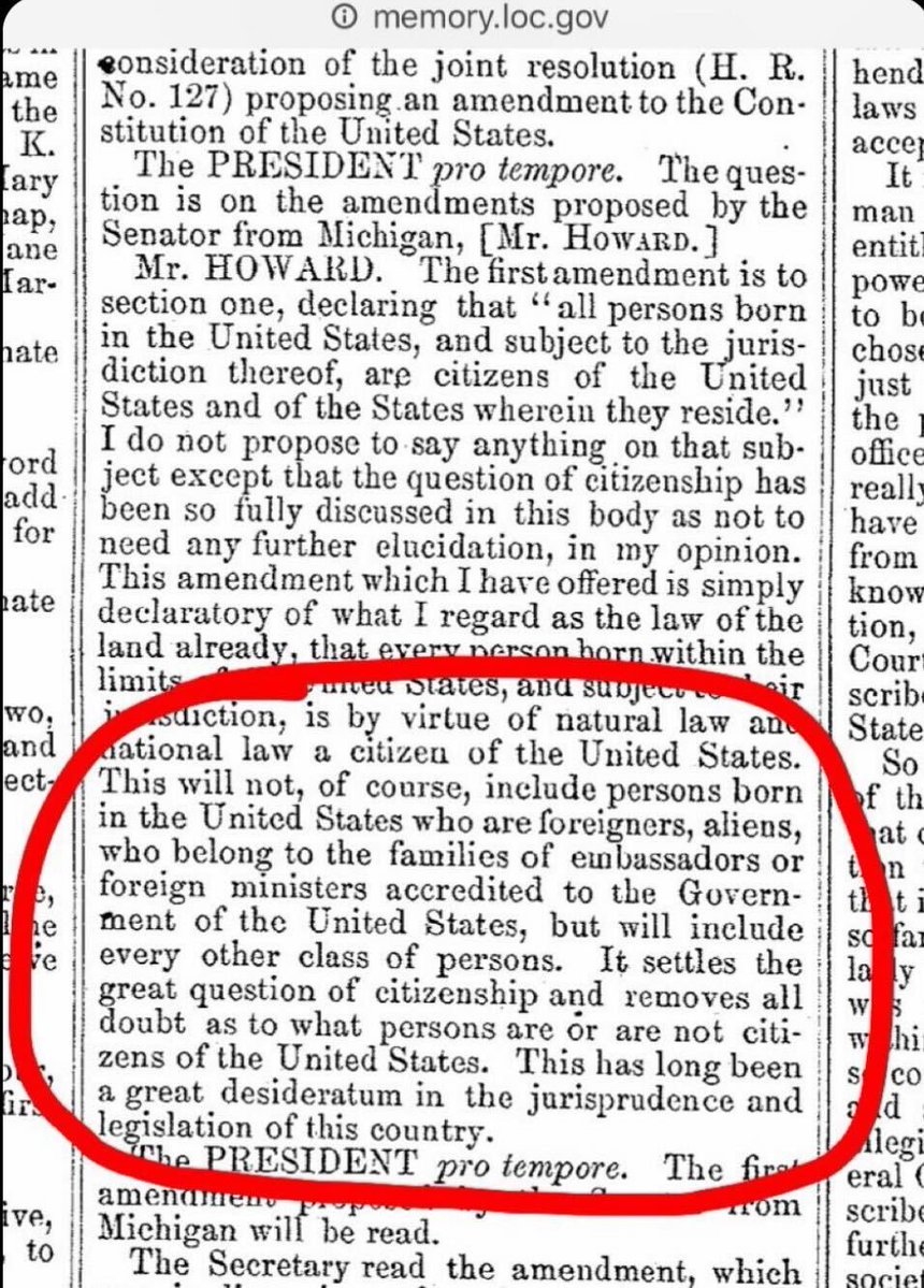 peterrocks tweet media