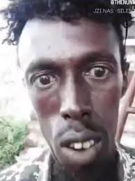 MellayTV tweet media