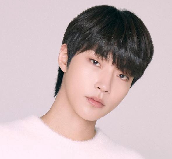 6시내고양 tweet media