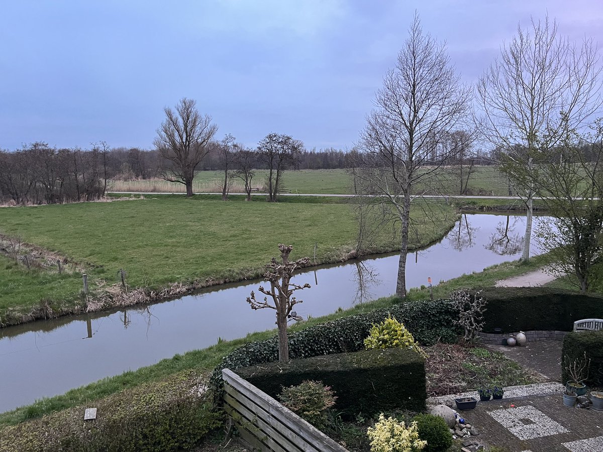 Warner Bruins Slot tweet media