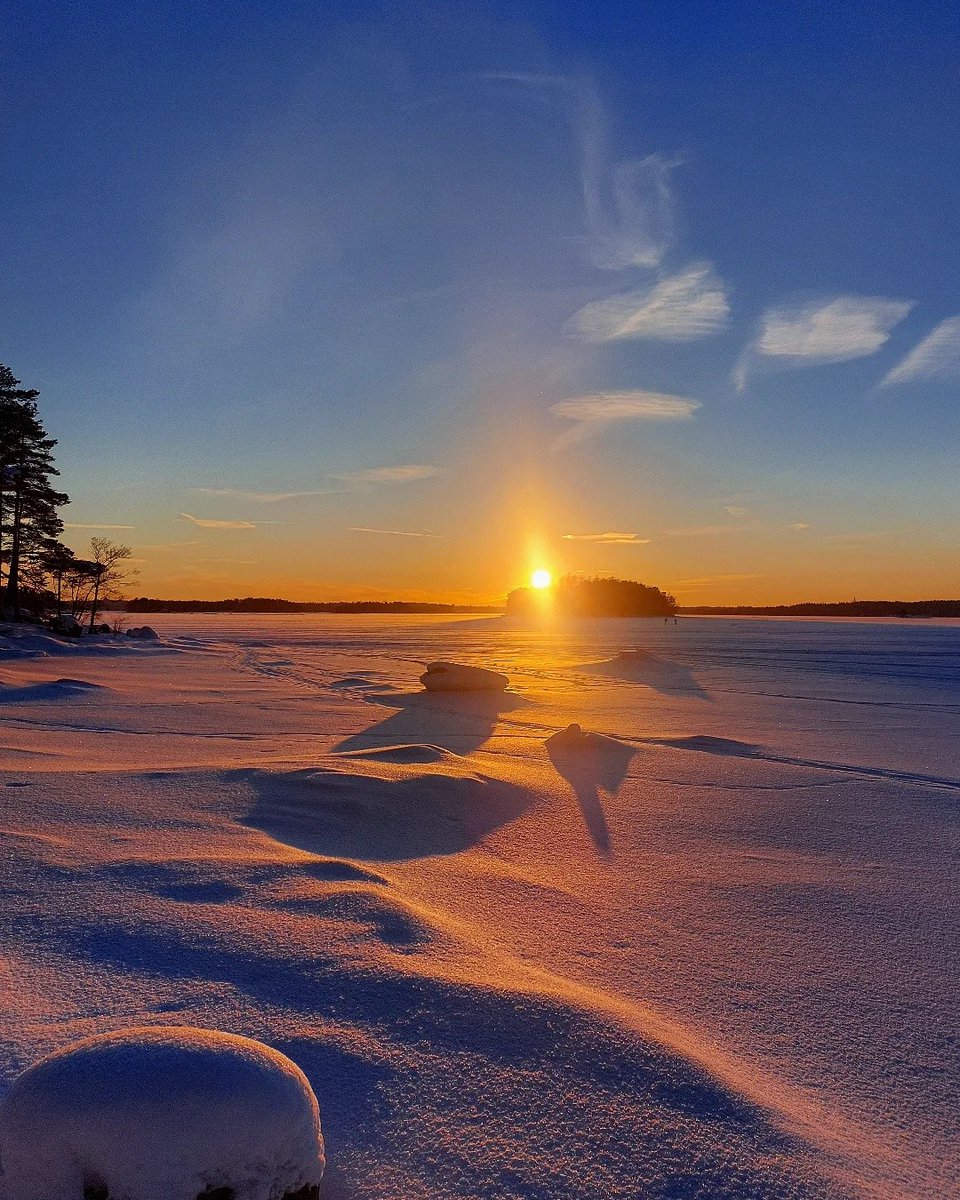 Elena 🇺🇸 tweet media