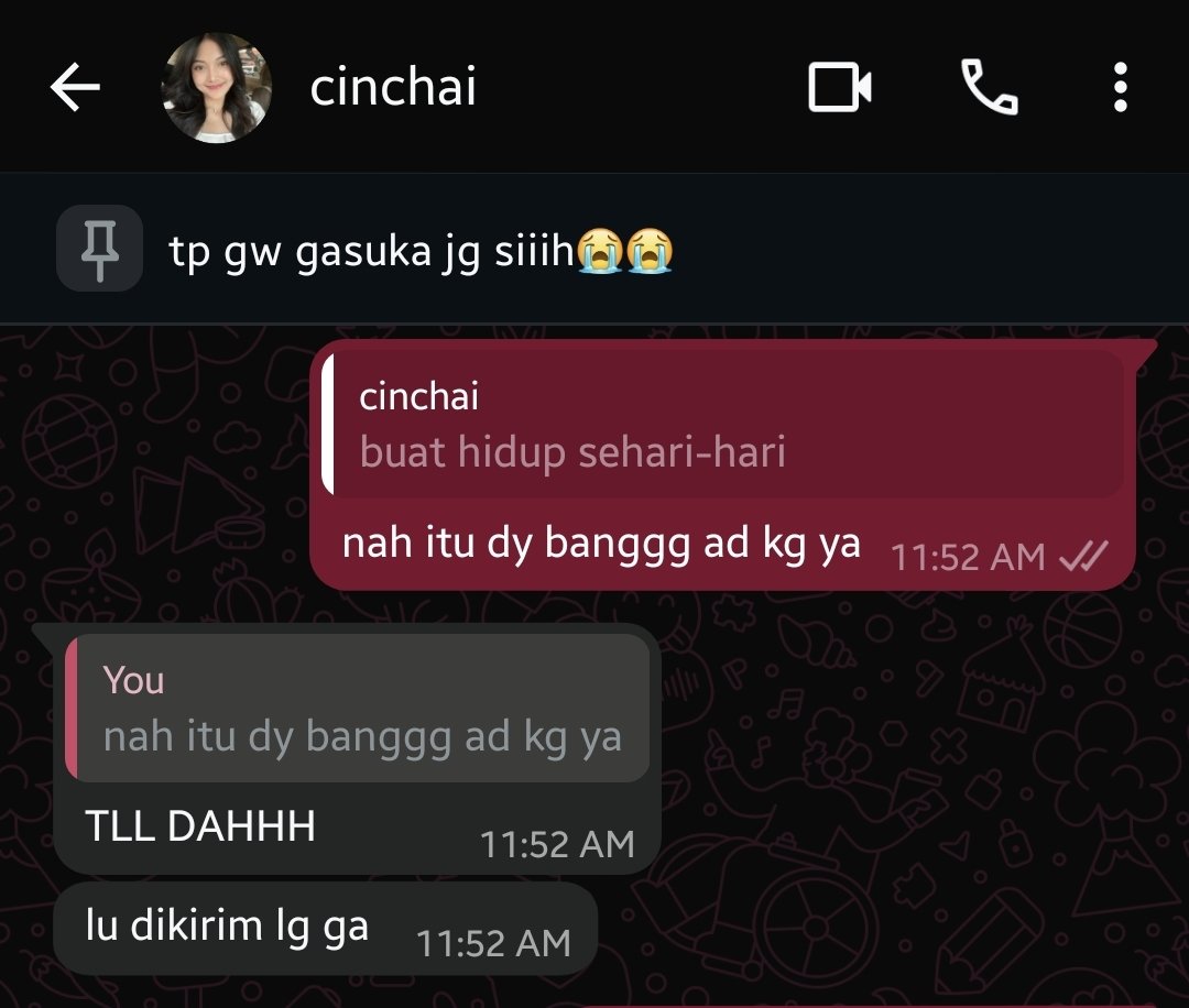 gina tweet media