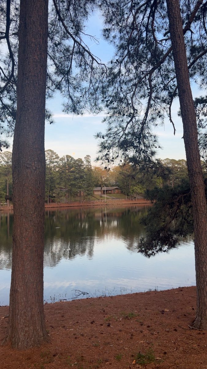 juju 🦇 tweet media