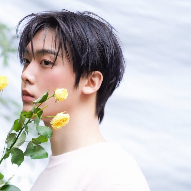 캘리로하 tweet media