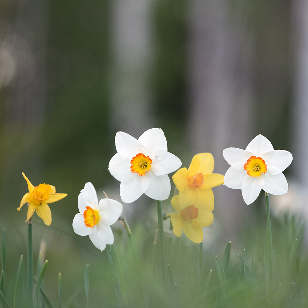 S-Pankki tweet media