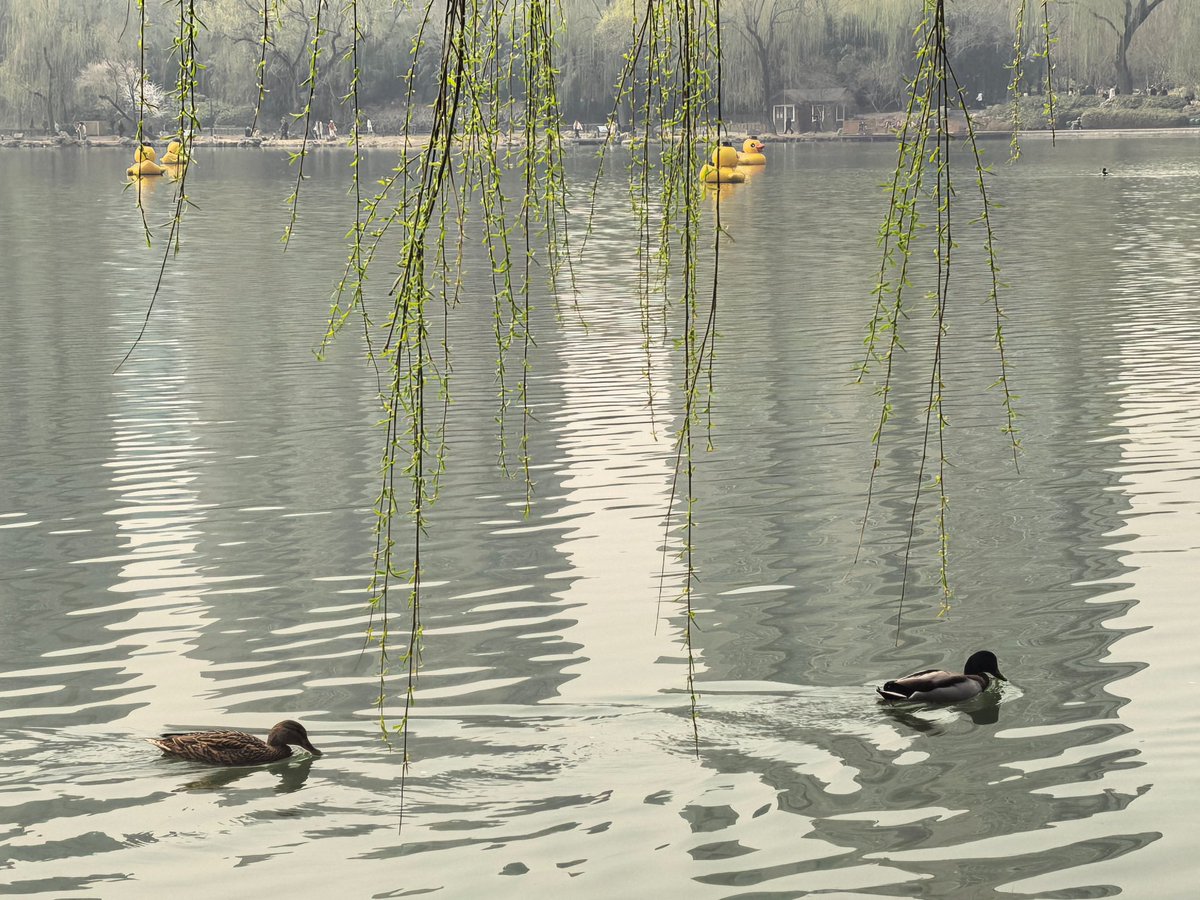 zoe（互关 互fo） tweet media