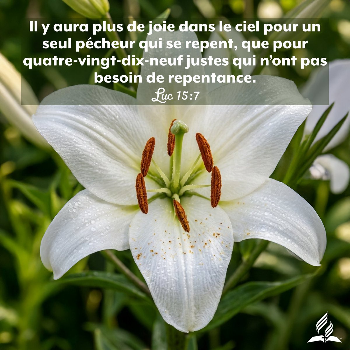 Église d'Épinal tweet media