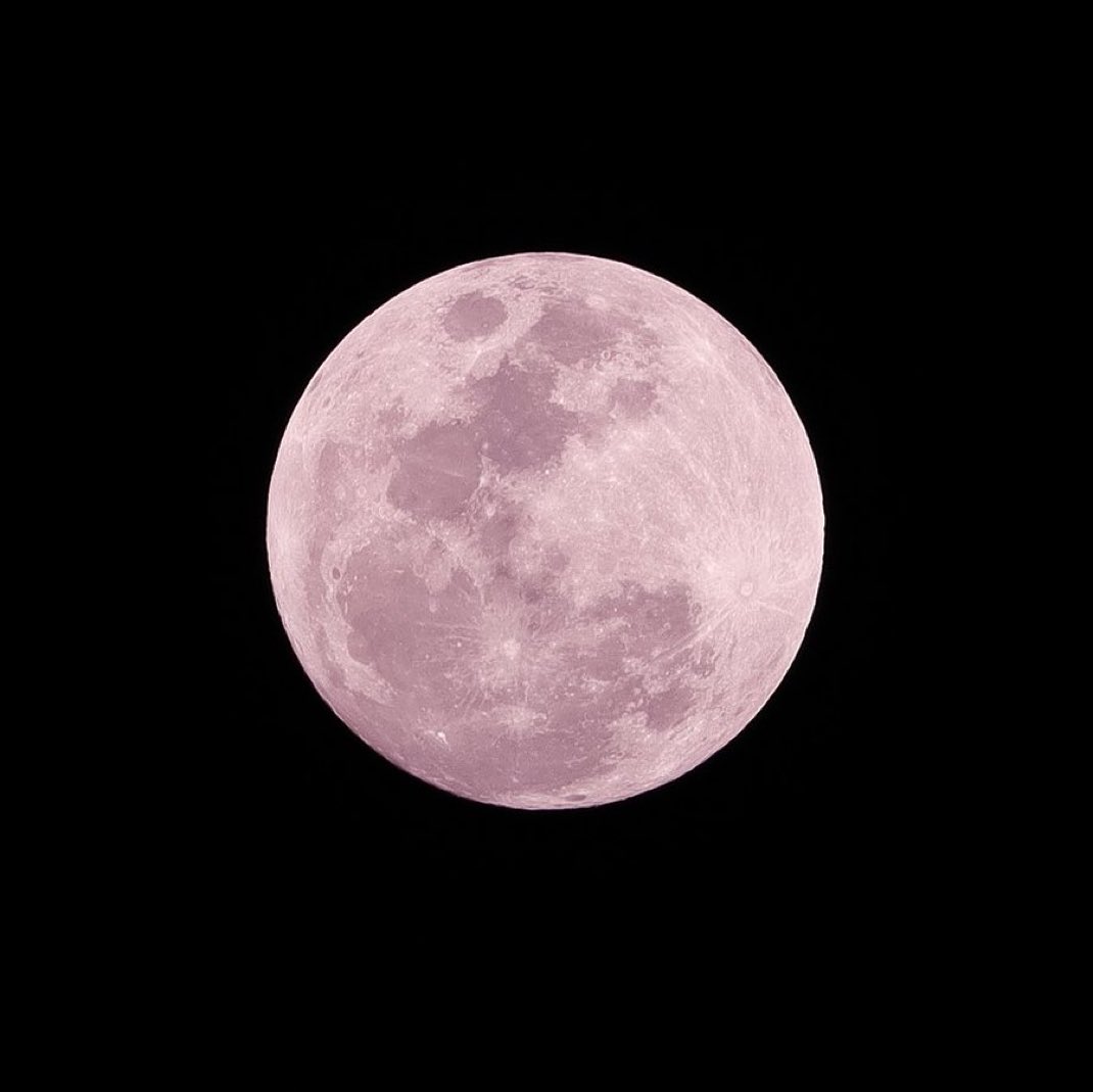 andi ★ tweet media