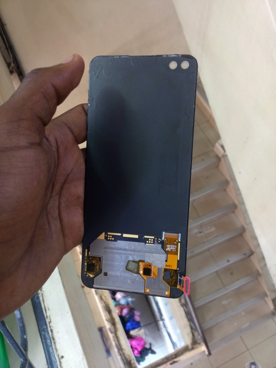 Mr Rango🦎 tweet media