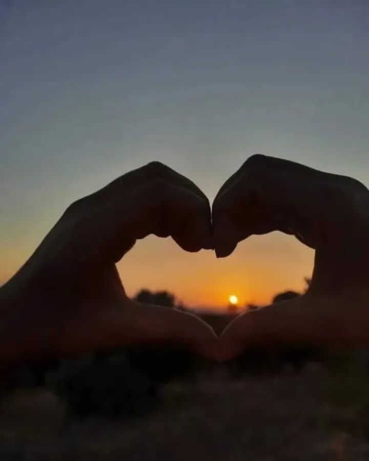 İLKER ÜNVER tweet media