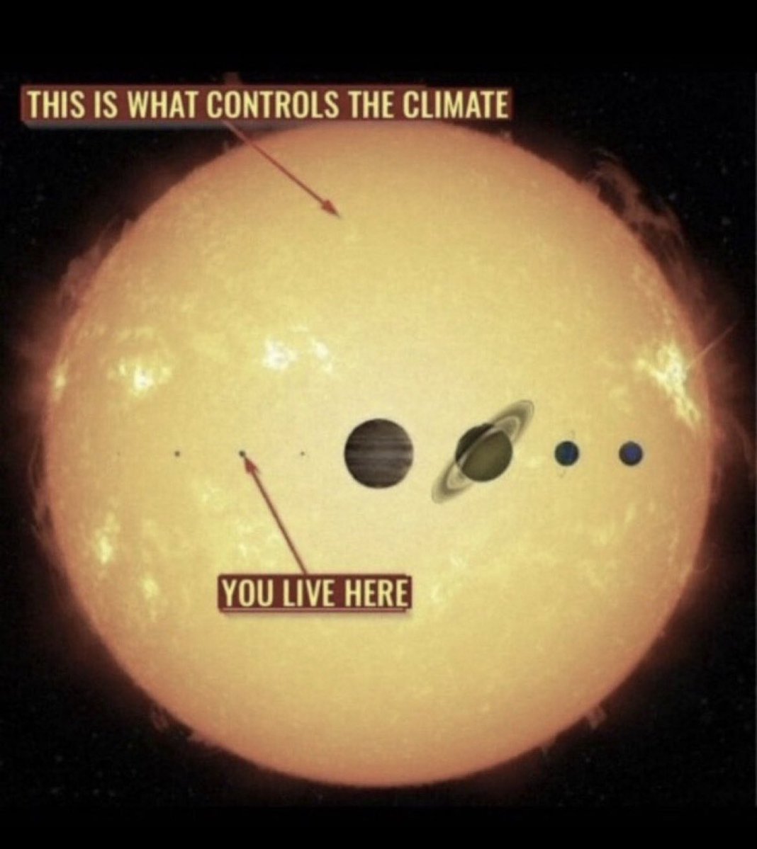 Günter Wallner tweet media