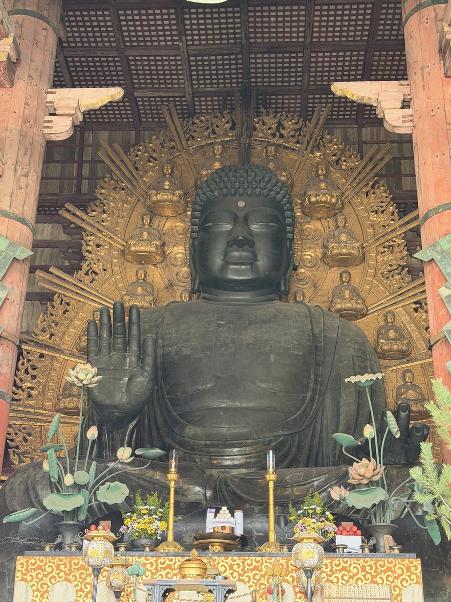 LPmizu2's tweet photo. 鹿に舐められた https://t.co/aesUCqRb7V
