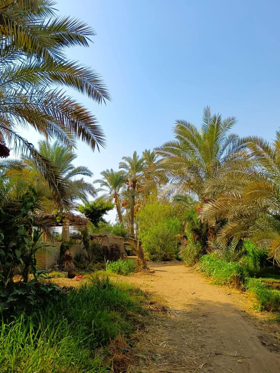 انسان بسيط.. 🌺 H 🌺.. tweet media