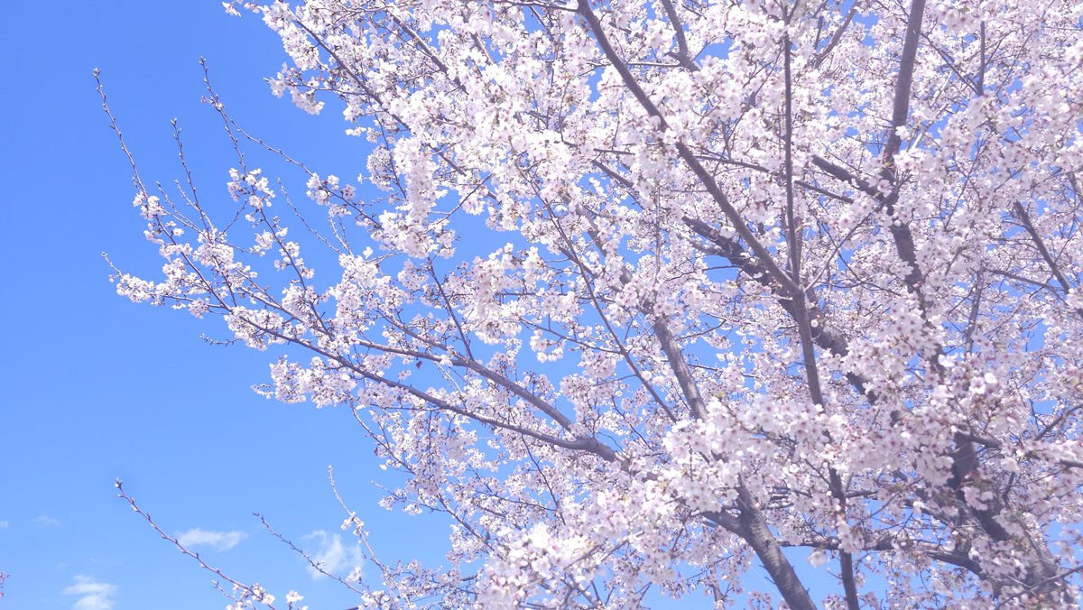 🍉鈍器威🍉 tweet media