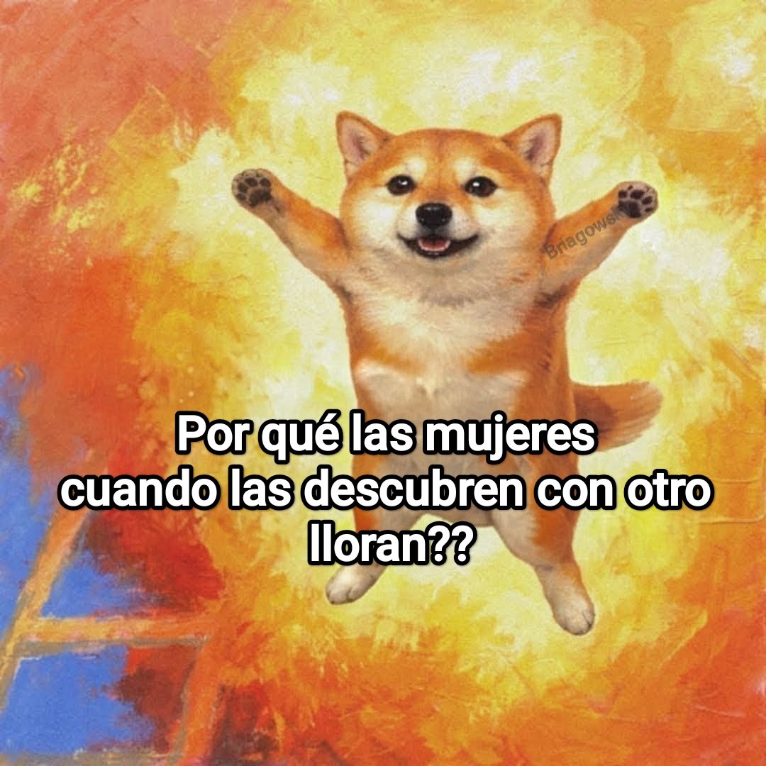 Cap Briagowsky tweet media