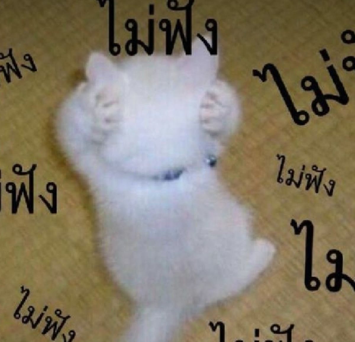 ✏️⛅️ สอง ห้องป.2/4🎨⛅️ (แอคเก่าปลิว) tweet media