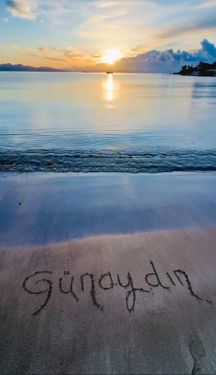 murat karaoğlan tweet media