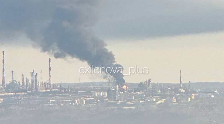 ОстроВ tweet media