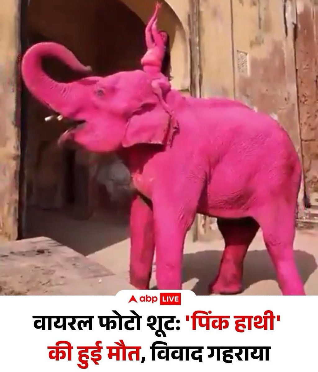 अब होगी वन विभाग की जेबें गर्म😢