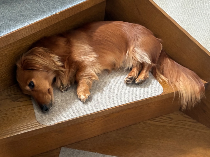 ユラ&久恩(MD tweet media