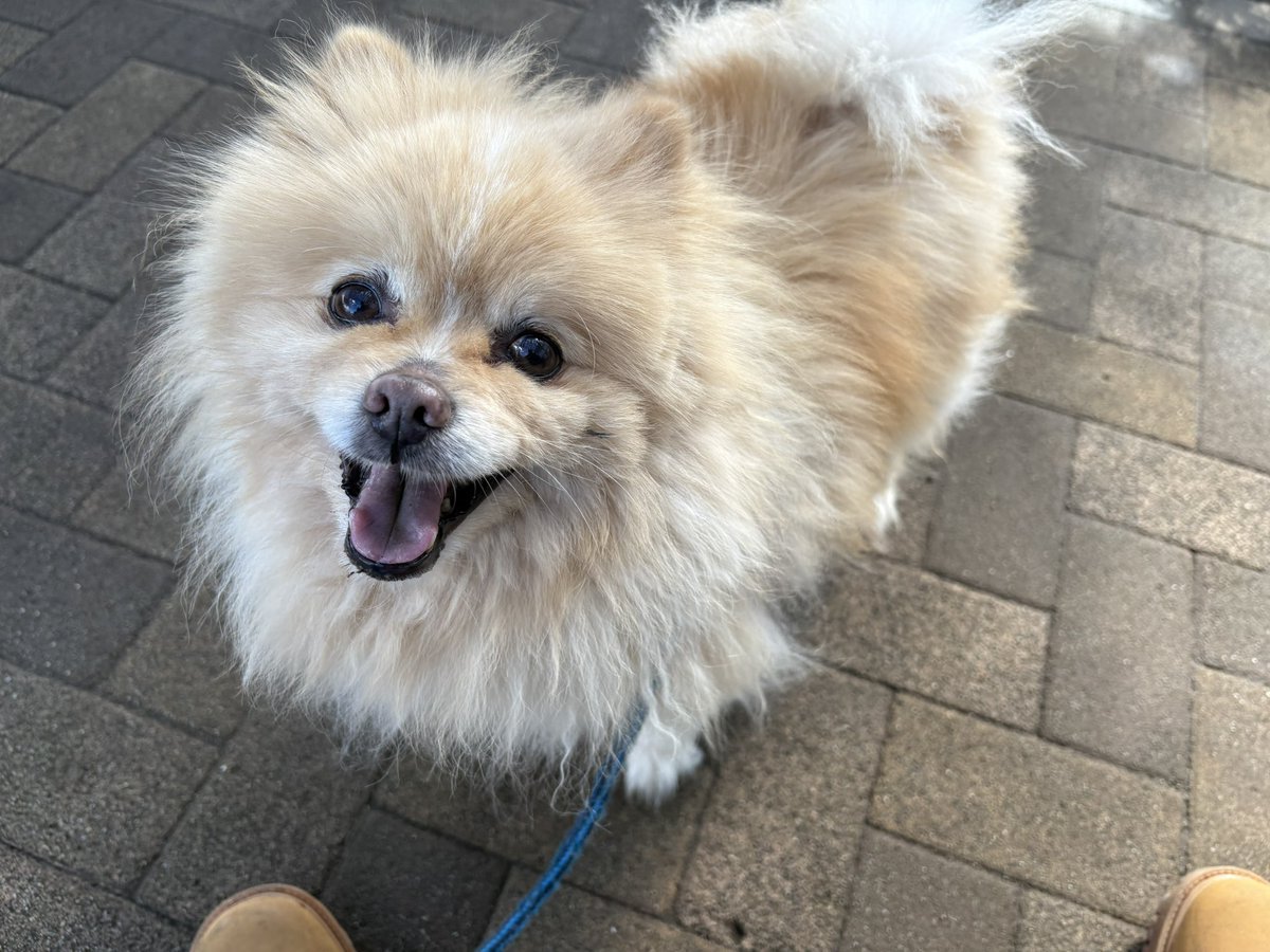 ∞ジェイク∞ tweet media