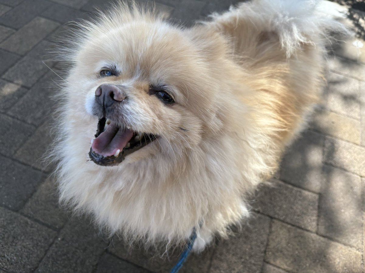 ∞ジェイク∞ tweet media