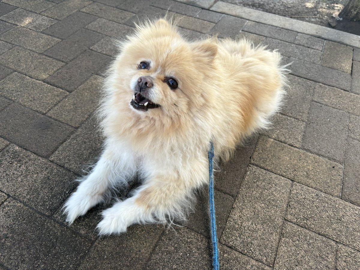 ∞ジェイク∞ tweet media