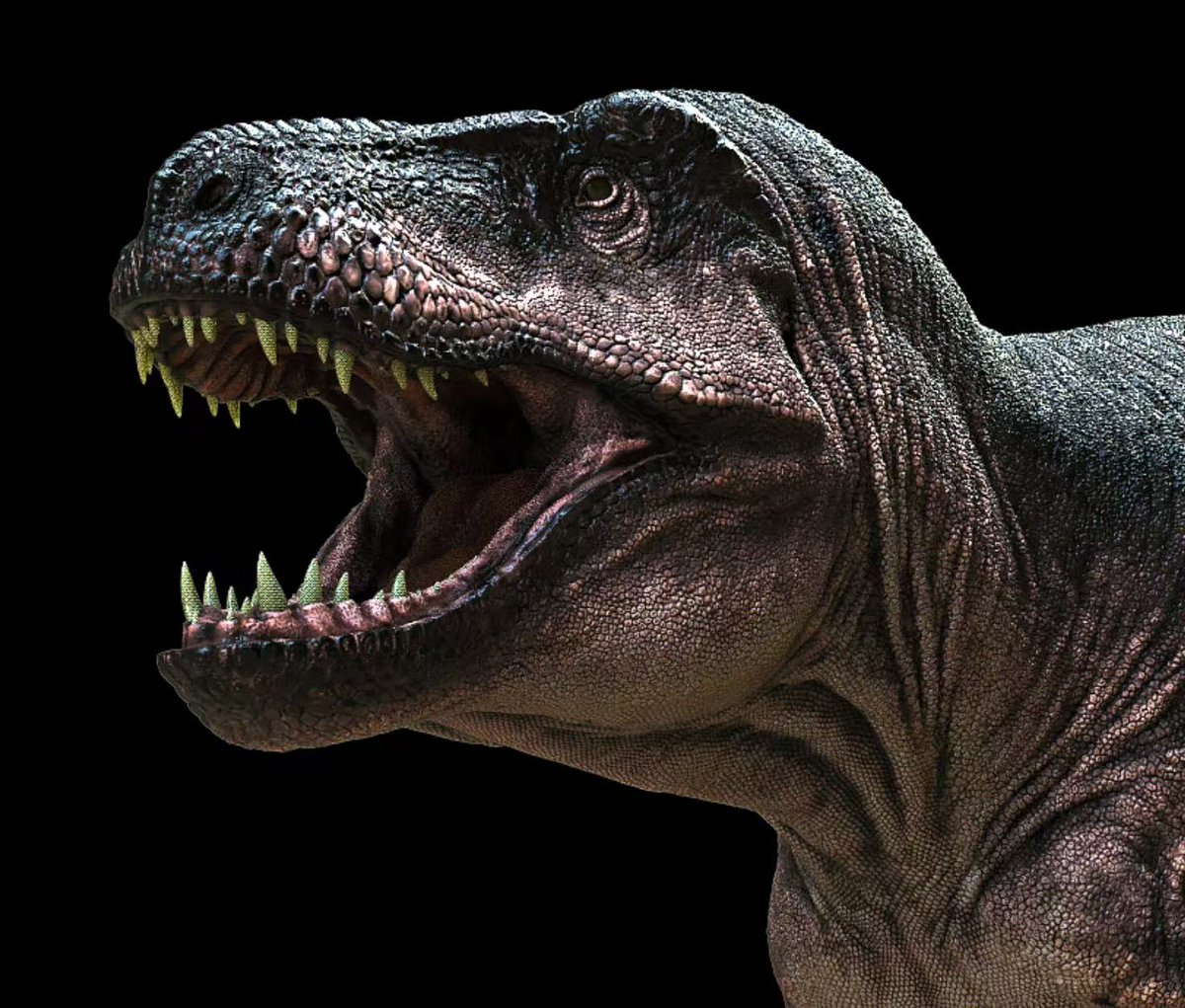 hong06809419's tweet image. The Tyrannosaurus rex created for the Beijing Museum of Natural History is based on Scotty, one of the most famous T. rex fossils. More artworks will also be on display at the museum. The official opening is on April 28th. Stay tuned.
#dinosaur #JurassicWorld #恐竜 #Trex