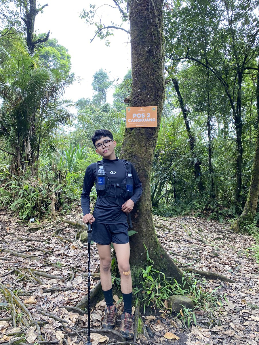 wentwonwin tweet media