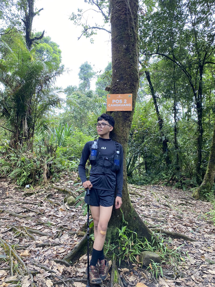 wentwonwin tweet media