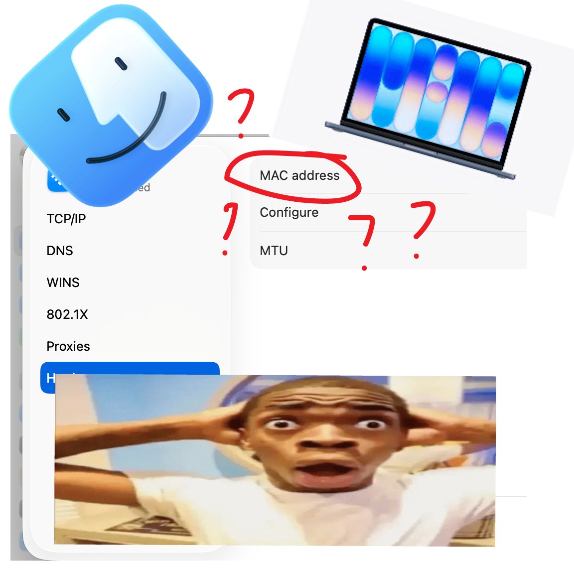 Moo tweet media