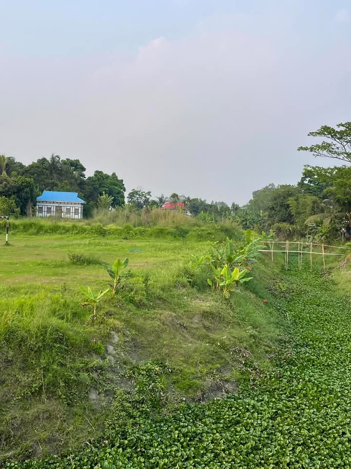 গ্রামের দৃশ্য কত সুন্দর