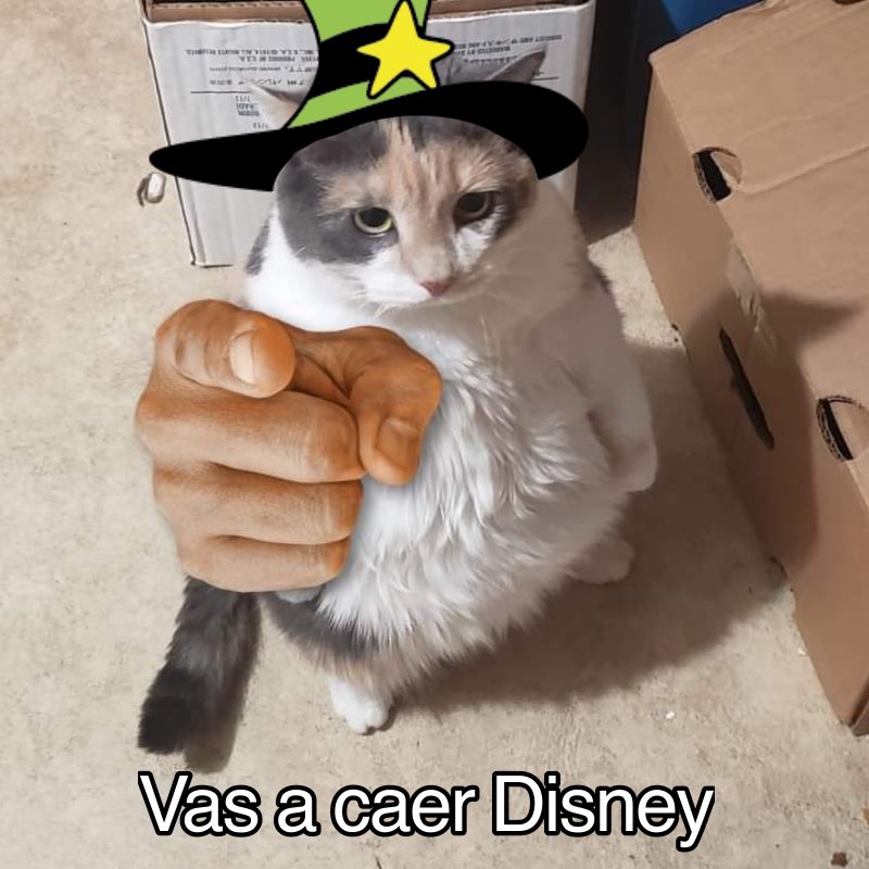 Wild_Lizard tweet media