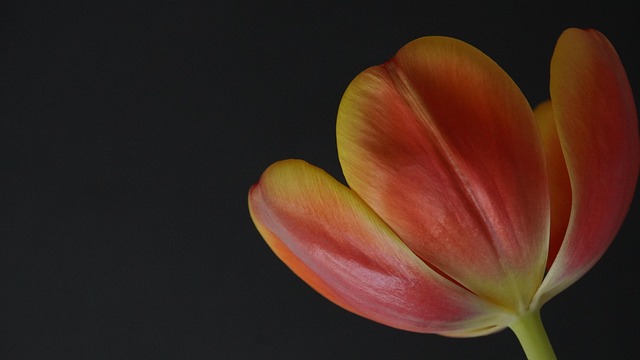 Sara Walen tweet media